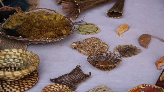 Démonstrations : Vannerie sauvage et travail des fibres