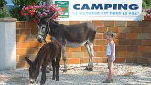 Aire naturelle de camping Le Bonheur est dans le Pré