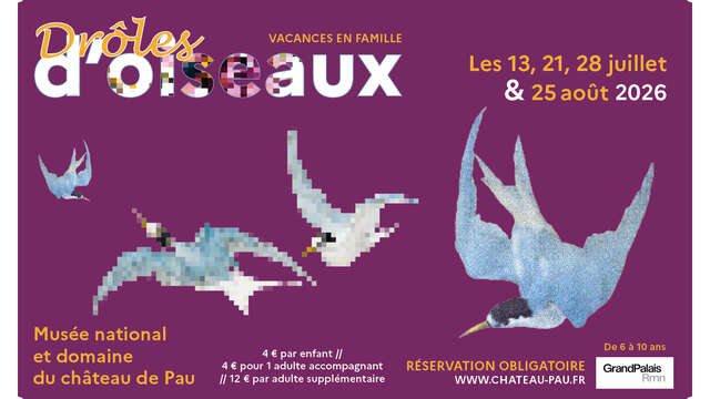 Drôles d'oiseaux