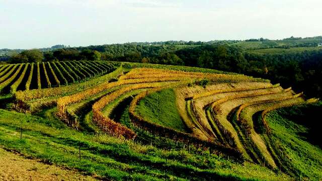 Domaine Burgue-Séré