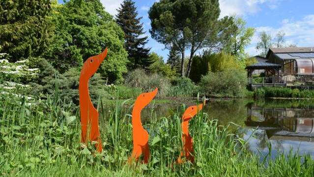 Sortie Nature : La vie des arbres