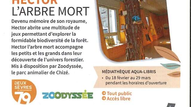 MEDIATHEQUE : Hector l'arbre mort