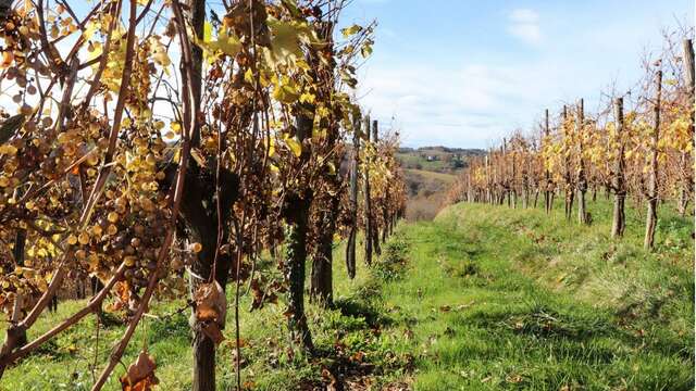 Clos Labrée