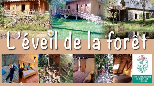 L'éveil de la Forêt - le gîte du Moulin