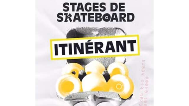 SKAB school - Stage skateboard itinérant