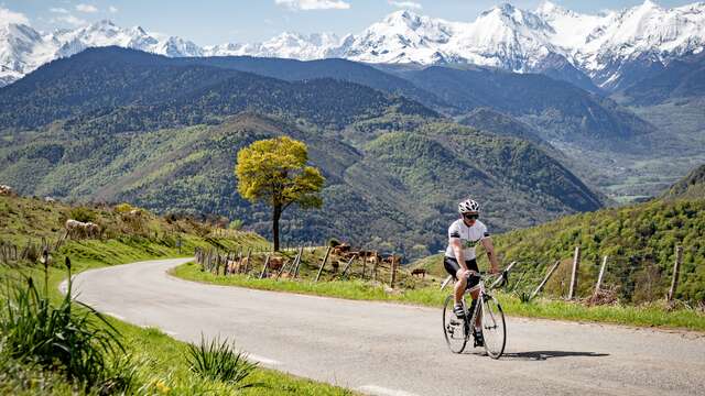 LE COL D'ASPIN - VERSANT ARREAU JUSQU'À PAYOLLE