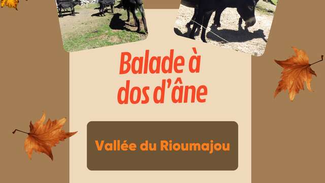 Balade à dos d'ânes au Rioumajou