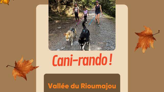 Cani rando avec "La fille aux loups"