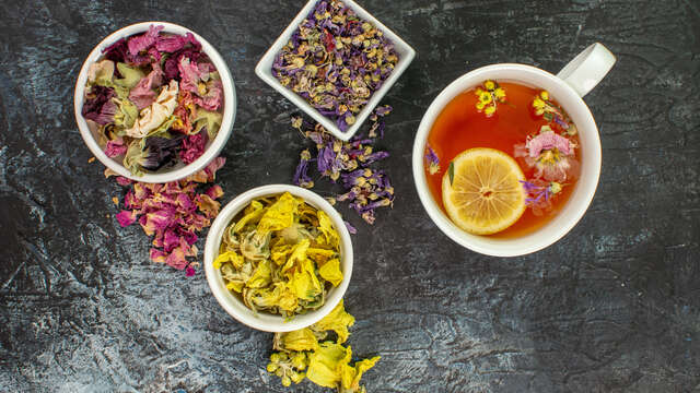 Atelier Herboristerie