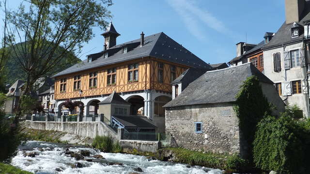 Visite "à la carte" d'Arreau