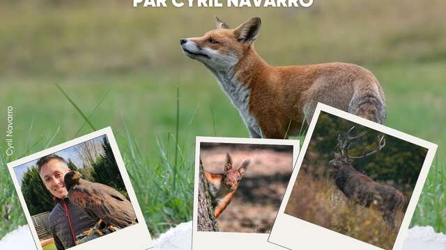 Conférence sur la faune sauvage par Cyril Navarro