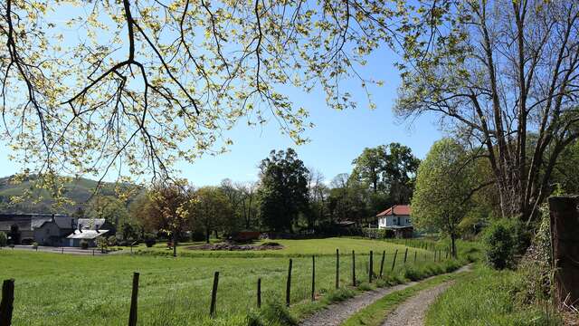 LE CHEMIN VERT