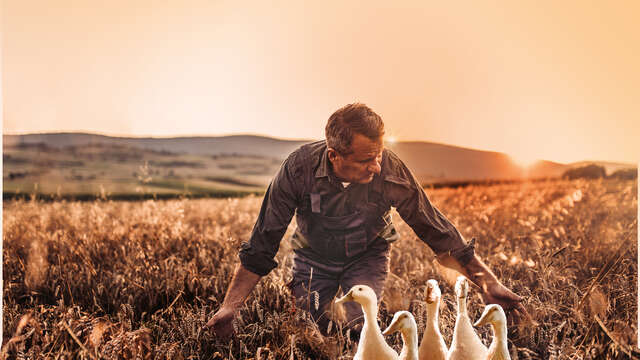 LA BOUTIQUE DU FOIE GRAS