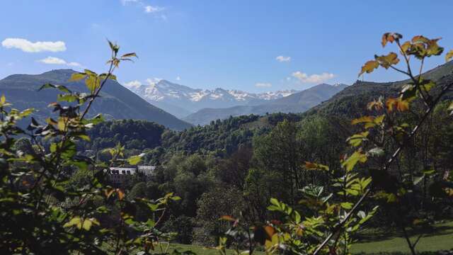 LE TOUR DE BALOUM