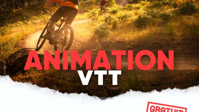 Animation VTT