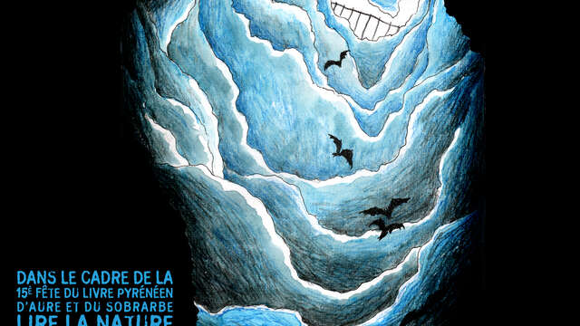 Exposition Seb Cazes-Laurent Tillon : originaux de la bande dessinée "Chroniques d’une vie à l’envers, une nuit avec les  chauves-souris" (Actes Sud)