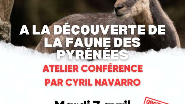 Conférence sur la faune des Pyrénées par Cyril Navarro