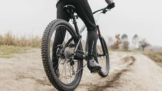 Animation VTT