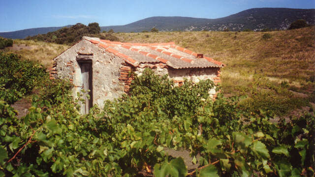 DOMAINE CHALULEAU PONS