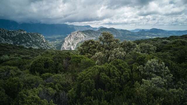 LES ABORDS DE SAINT-MARTIN