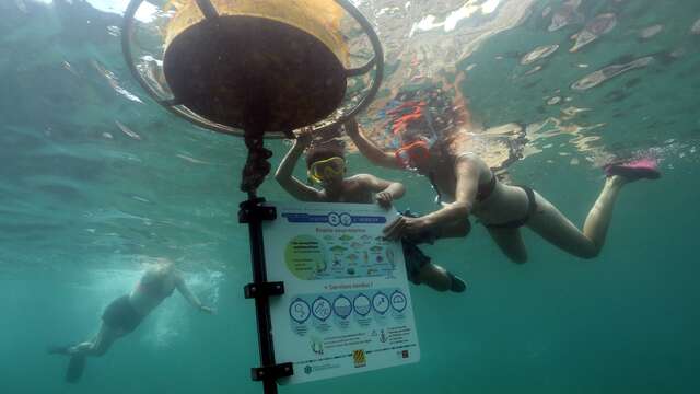 SENTIER SOUS-MARIN DE LA RESERVE MARINE CERBERE-BANYULS