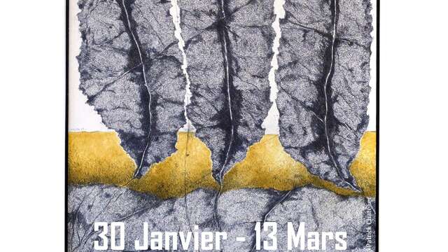 EXPO D'ALAIN GOUJON A L'EDA LE BOULOU