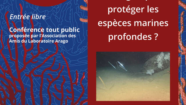 CONFERENCE LES MERCREDIS DE LA CONNAISSANCE - JANVIER