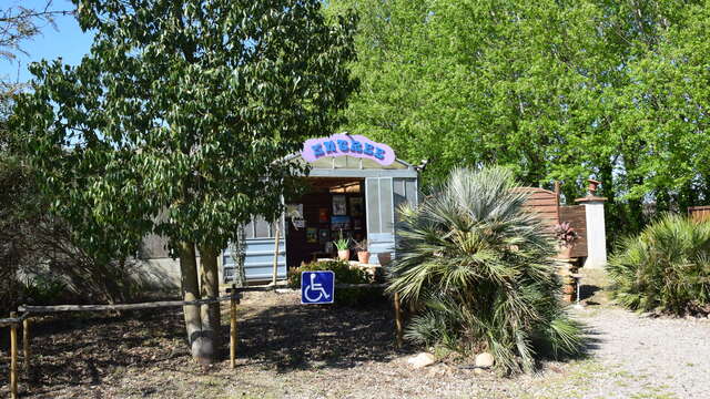 LABYRINTHES AUX 1000 FLEURS