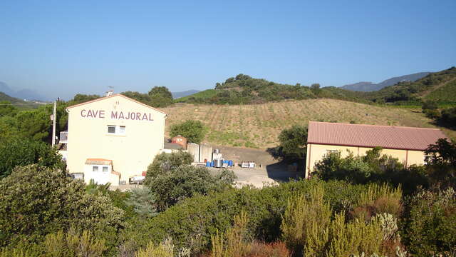 DOMAINE MAJORAL