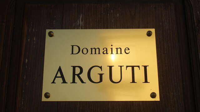 DOMAINE ARGUTI