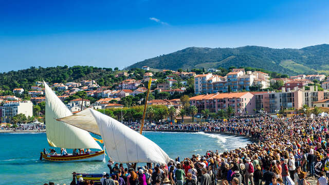VENDANGES EN FÊTE À BANYULS