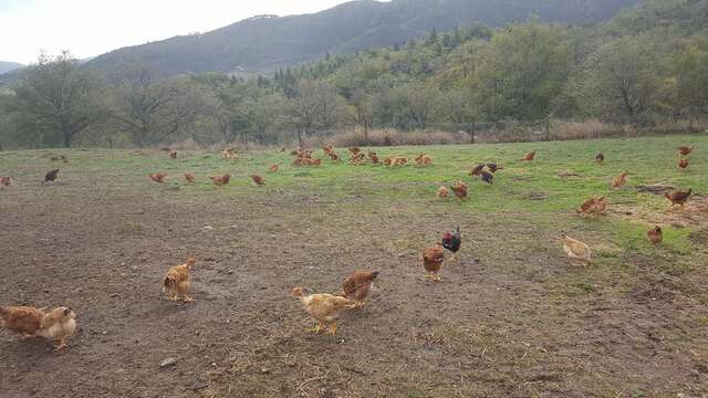 LA FERME D'ARSA