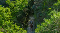 LE SENTIER DU CHARBONNIER