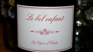 DOMAINE LES VIGNES D'ELODIE