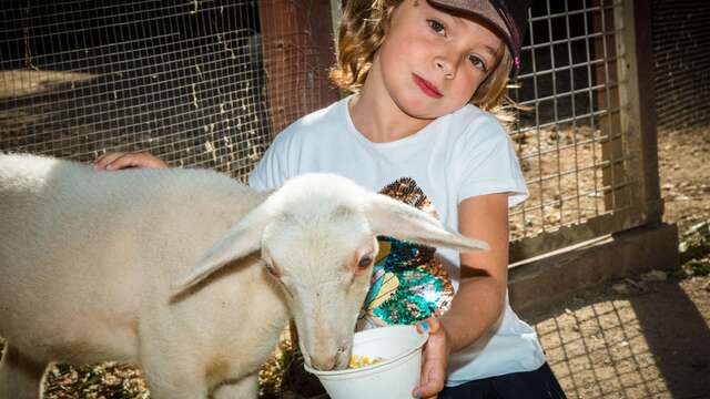 FERME DE DECOUVERTE SAINT-ANDRE