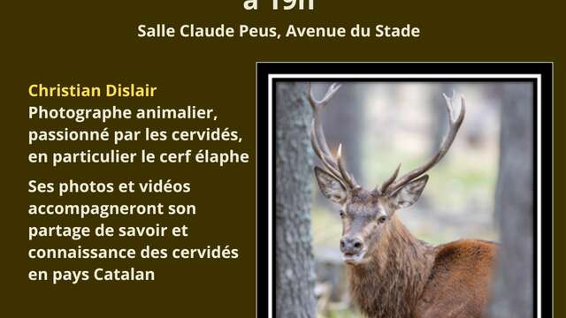 CONFÉRENCE SUR LES CERVIDÉS