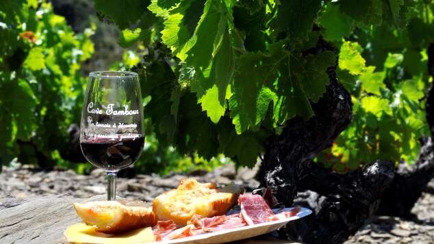 DOMAINE TAMBOUR - DÉGUSTATION À THÈME