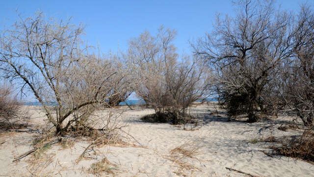 RESERVE NATURELLE NATIONALE DU MAS LARRIEU