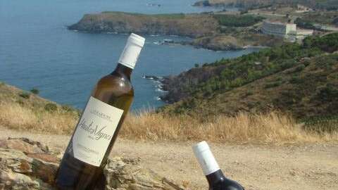 DOMAINE TAMBOUR - L'ÉNIGME DES BANYULS