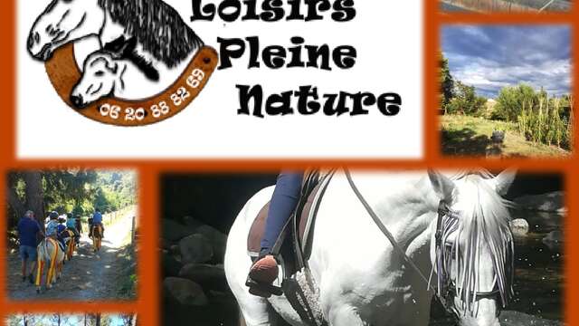 CHEVAL LOISIRS PLEINE NATURE