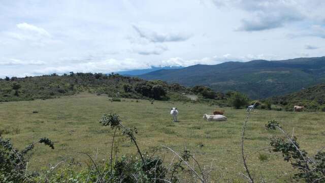 SENTIER DES CABANES