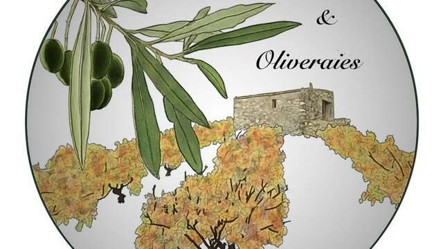 CAPELA AURELIEN - "ENTRE VIGNES ET OLIVERAIES"