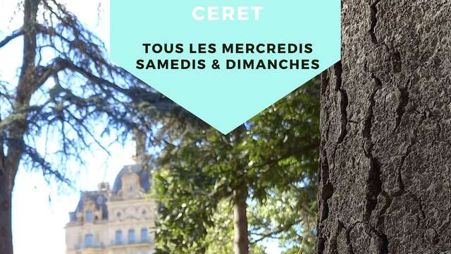 LE BAIN DE FORÊT DES PETITS
