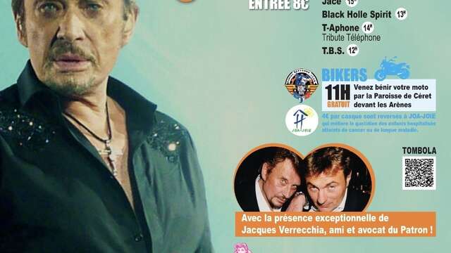 THE JOHNNY HALLY-DAY #2 (FESTIVAL DE ROCK)