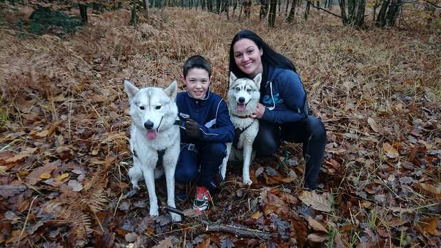 Husky d'Anjou, le monde du chien de traîneau