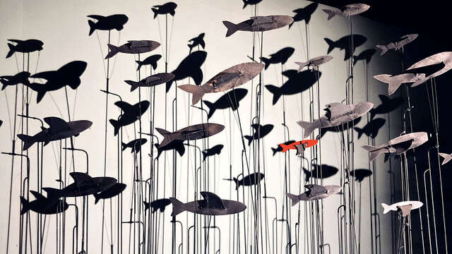 Il y a des oiseaux dans l'aquarium - Cie l'insolite mécanique / Le Théâtre (PUPAZZI)