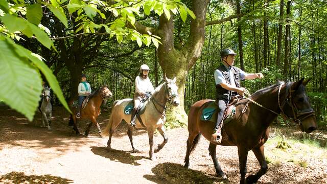 FERME EQUESTRE LE GRAND CHEMIN