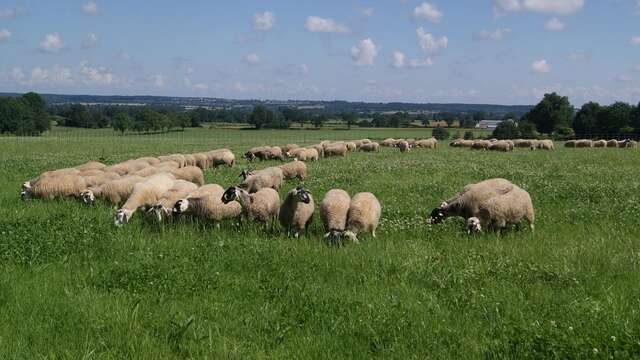 LA FERME AUX 5 CHEMINS