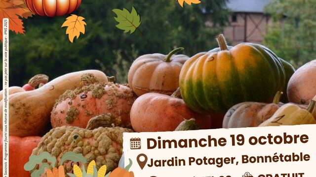 Les potirons fêtent l'automne