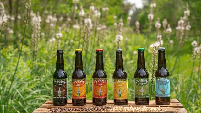 Visite de la micro-brasserie artisanale L'Asphodèle
